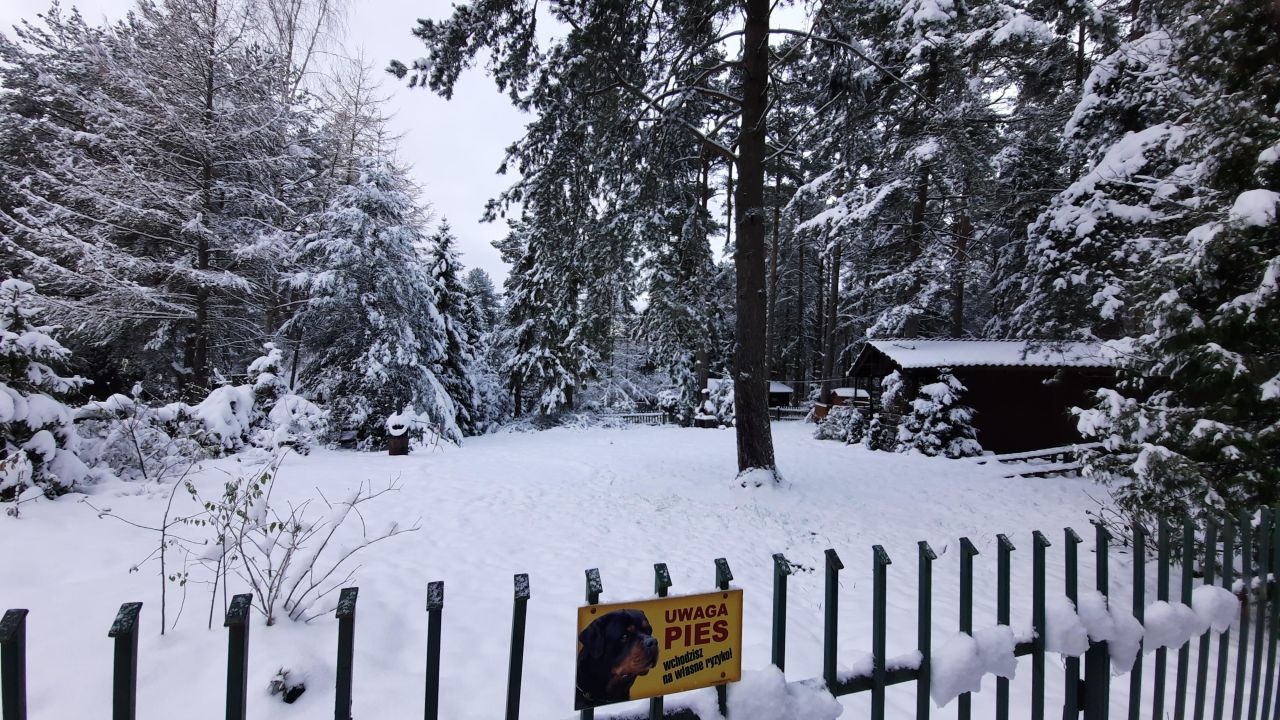 Działka rekreacyjna Zbychowo, ul. Sosnowa. Zdjęcie 15
