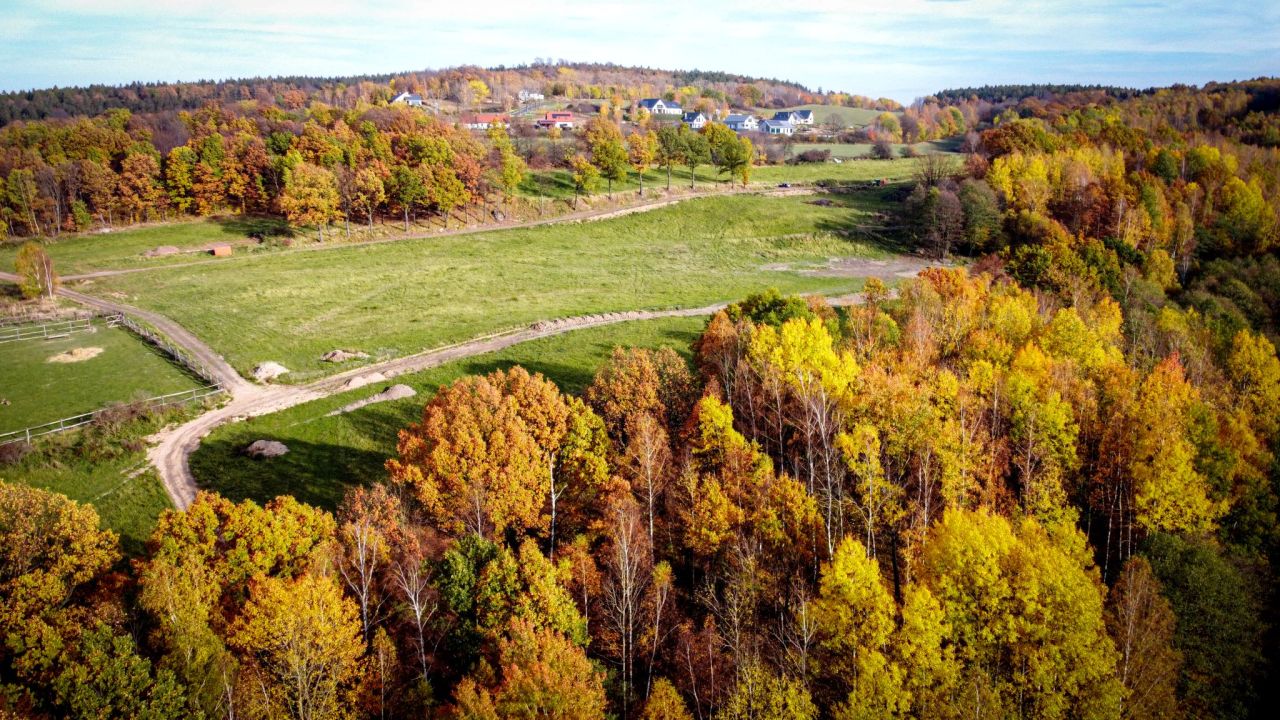 Działka budowlana Dziećmorowice. Zdjęcie 5