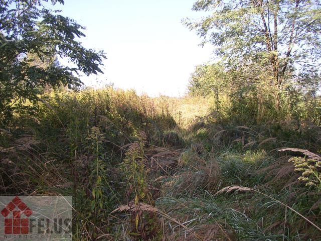 Działka rolna Kraków Tyniec. Zdjęcie 1