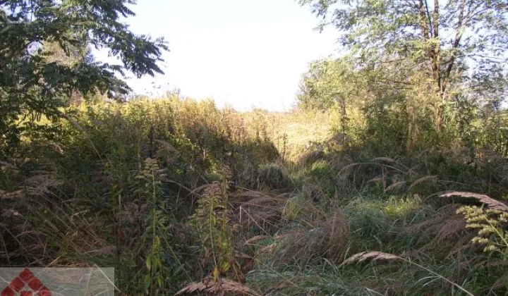 Działka rolna Kraków Tyniec