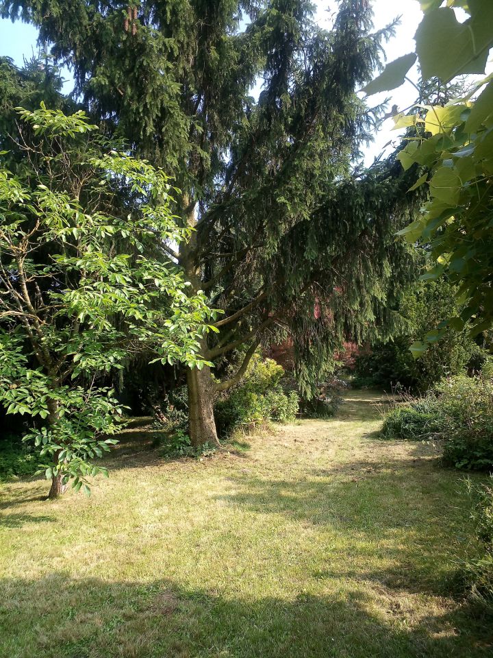 Działka siedliskowa Wolica. Zdjęcie 3