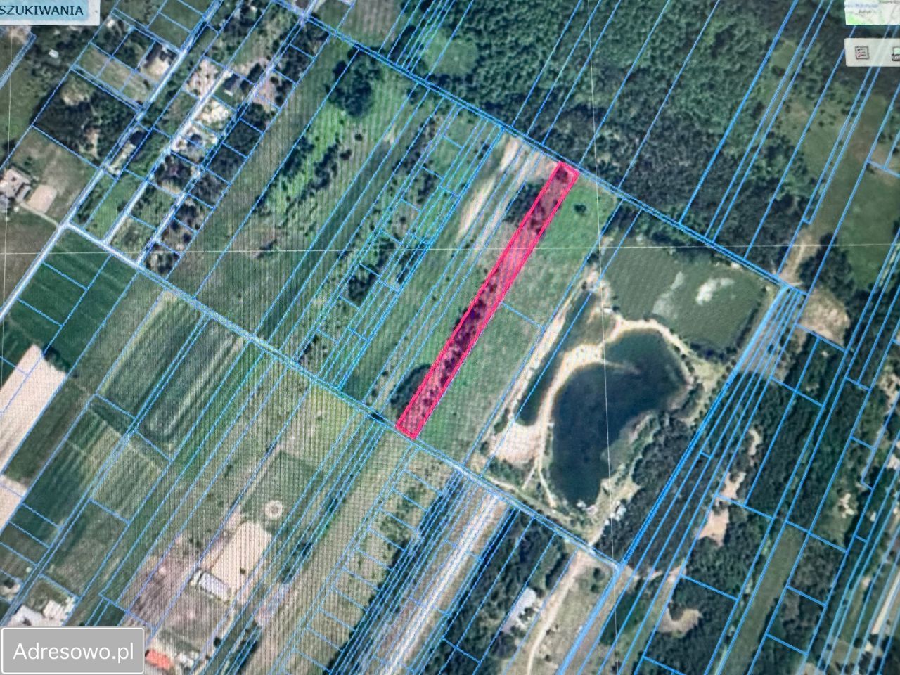 Działka rolna Kąck. Zdjęcie 3