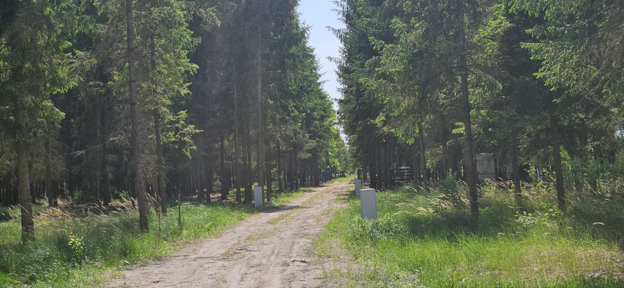 Działka budowlana Studnie. Zdjęcie 2