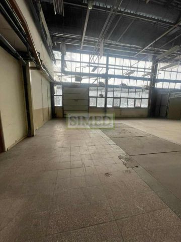 Hala/magazyn Warszawa Bielany. Zdjęcie 8