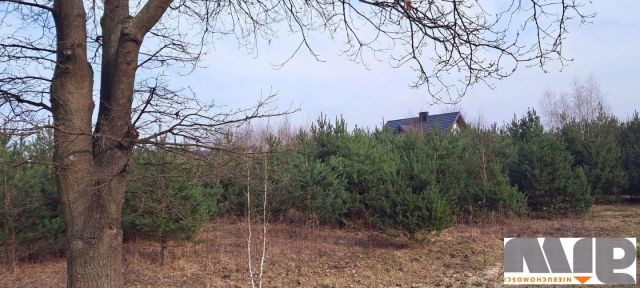 Działka budowlana Łajski, ul. gen. Władysława Sikorskiego. Zdjęcie 2