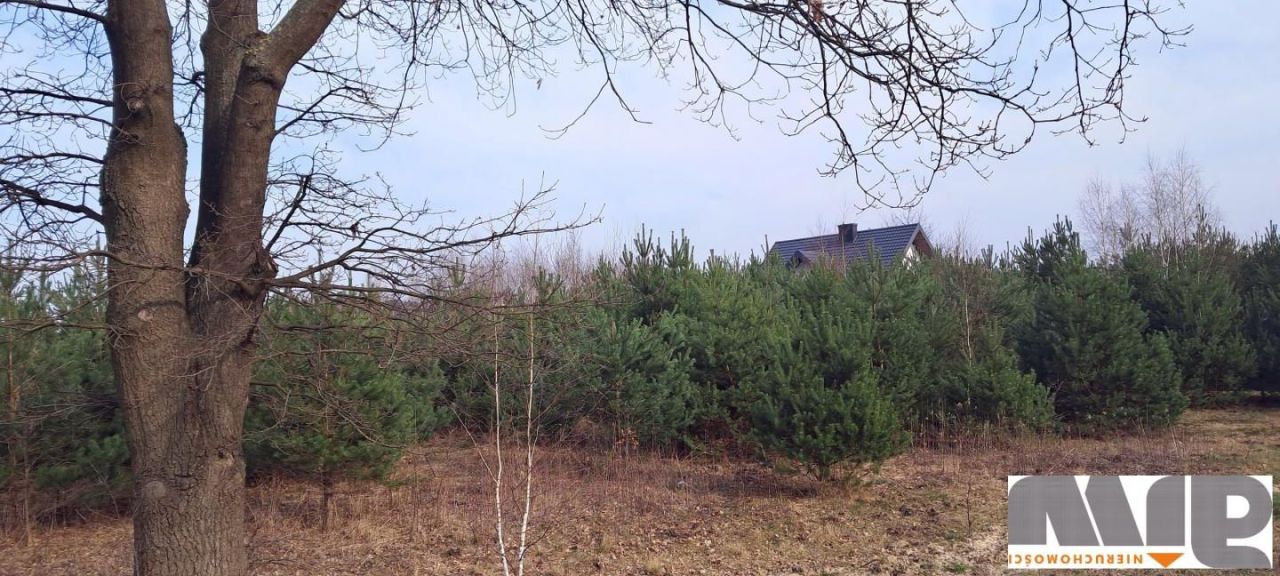 Działka budowlana Łajski, ul. gen. Władysława Sikorskiego. Zdjęcie 2