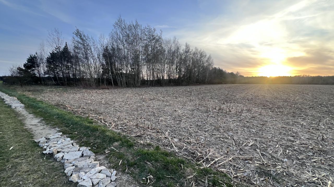 Działka rolno-budowlana Zasonie. Zdjęcie 3