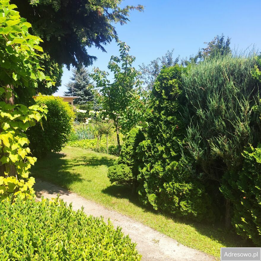 Działka rod Konin. Zdjęcie 2