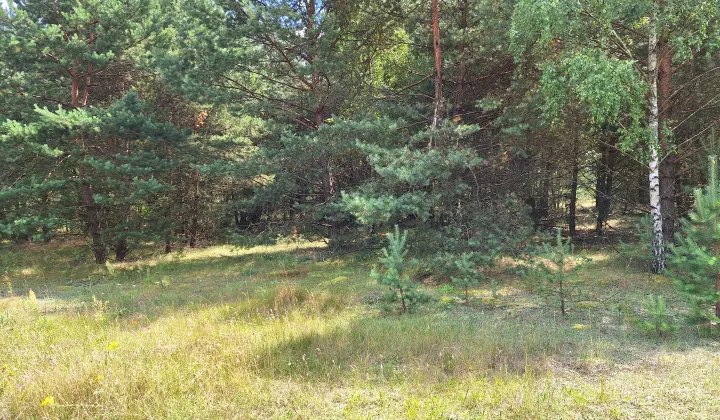 Działka siedliskowa Sieraków