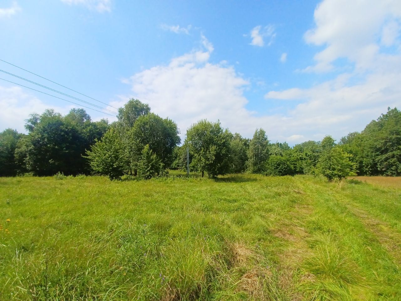 Działka budowlana Kołtki. Zdjęcie 10