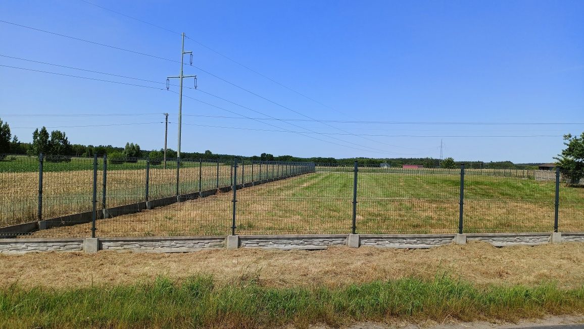 Działka budowlana Lipki. Zdjęcie 6