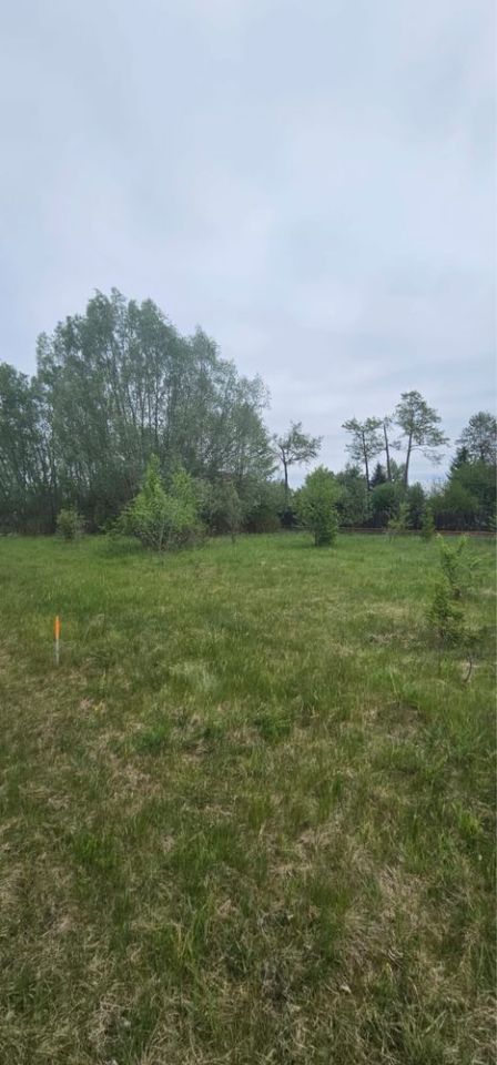 Działka budowlana Janów-Mikołajówka. Zdjęcie 5