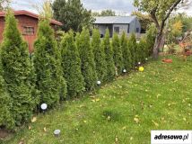Działka rod Żyrardów. Zdjęcie 2