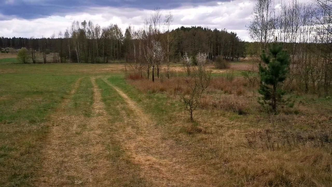 Działka rolna Pieńki. Zdjęcie 2