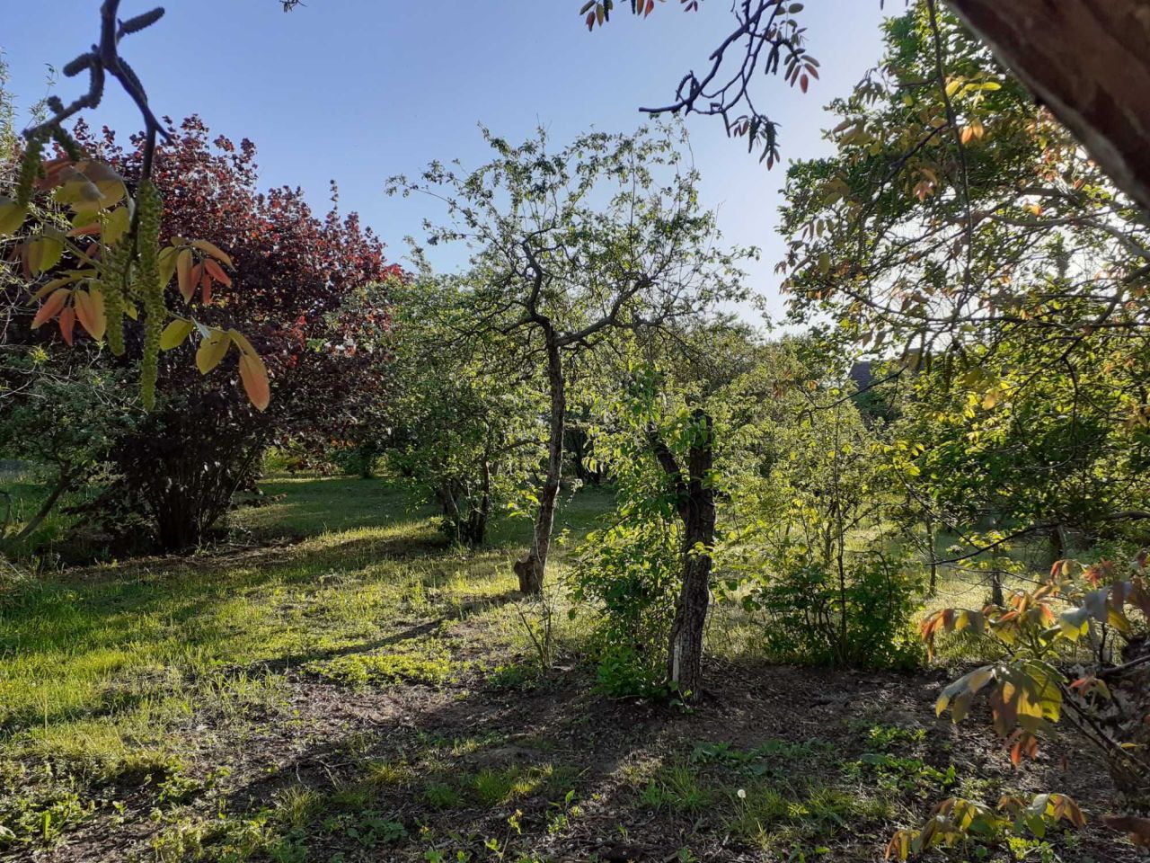 dom wolnostojący, 4 pokoje Bierzwnik. Zdjęcie 5