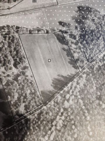 Działka rolno-budowlana Dąbkowa Parowa. Zdjęcie 1