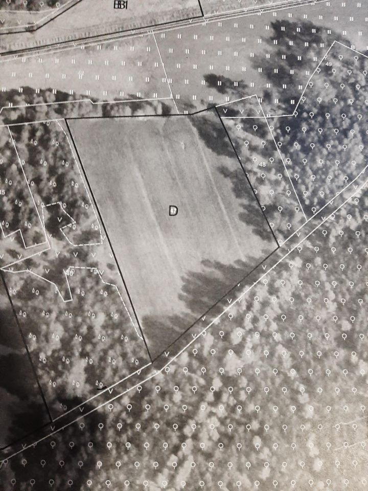 Działka rolno-budowlana Dąbkowa Parowa. Zdjęcie 1