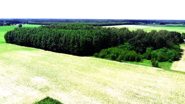 Działka siedliskowa Babiec-Więczanki. Zdjęcie 6