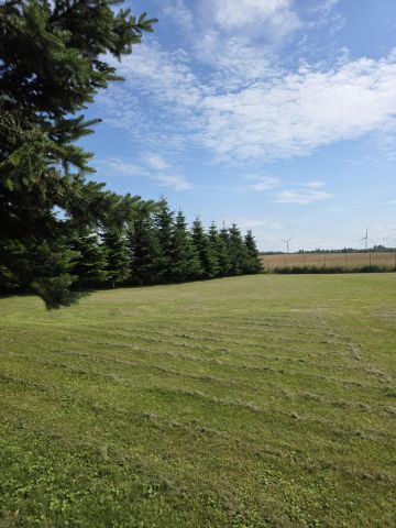 dom wolnostojący, 7 pokoi Borkowo Lęborskie Borkówko. Zdjęcie 23