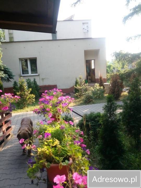 dom wolnostojący Żyrardów, ul. Izy Zielińskiej. Zdjęcie 2