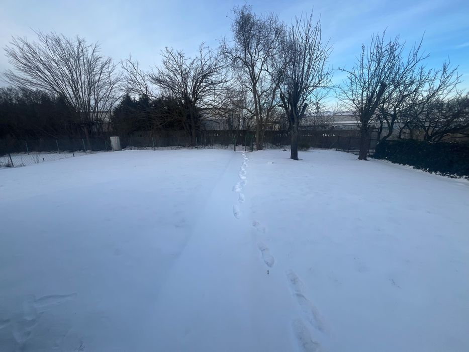 Działka rod Gniezno. Zdjęcie 8