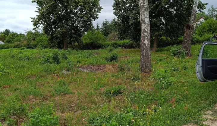 Działka budowlana Morgowniki