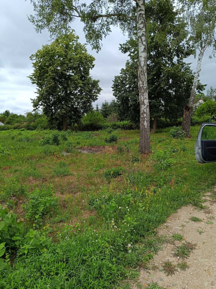 Działka budowlana Morgowniki. Zdjęcie 1