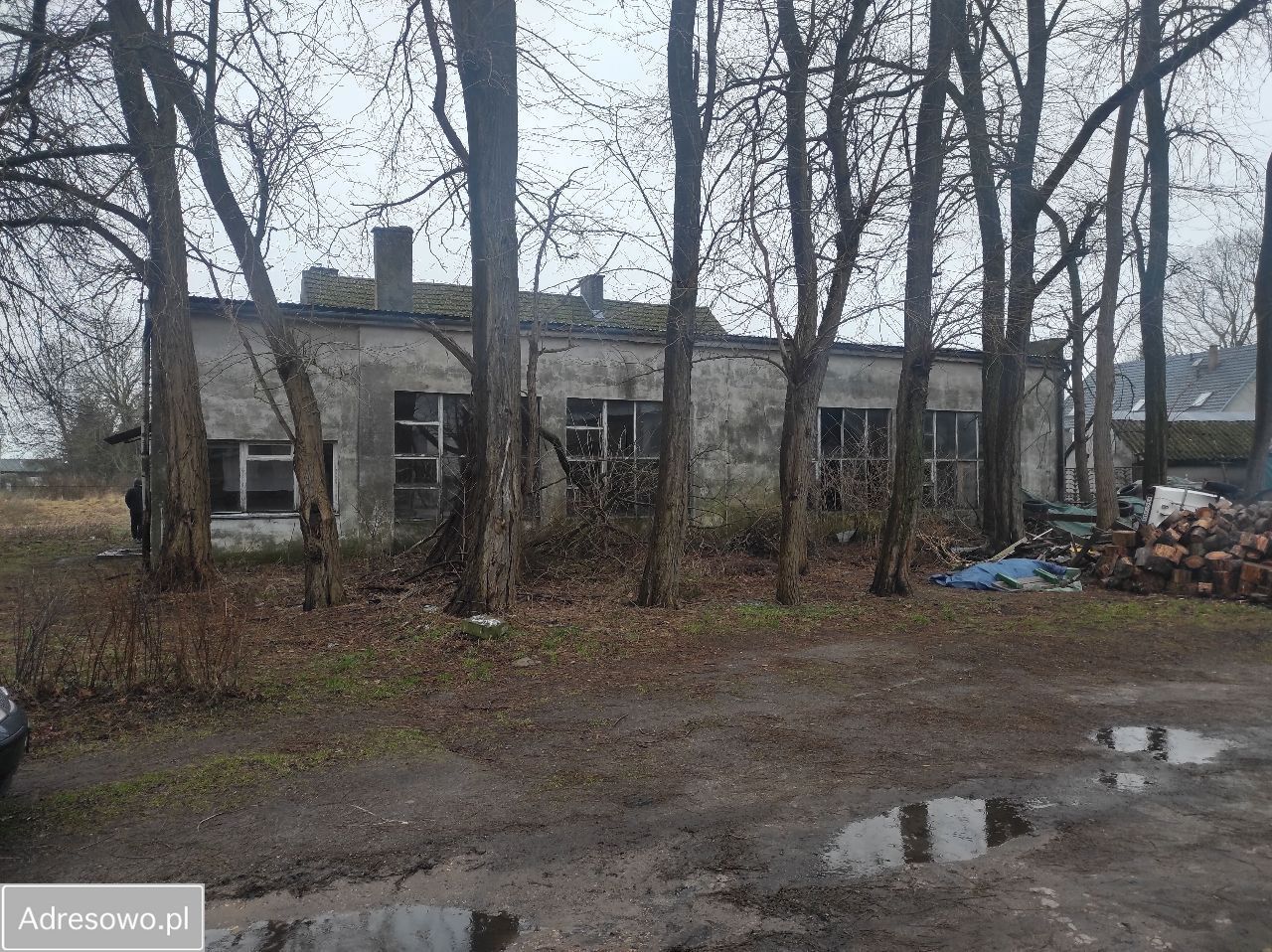 Lokal Dargoszewo. Zdjęcie 5