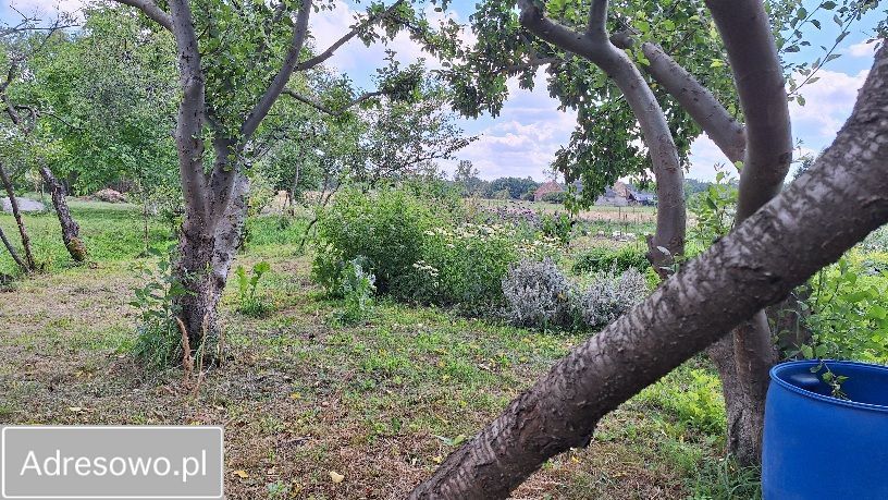 Działka budowlana Sieniawa Żarska. Zdjęcie 2