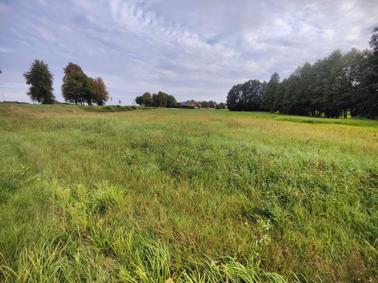 Działka budowlana Lubochenek. Zdjęcie 3