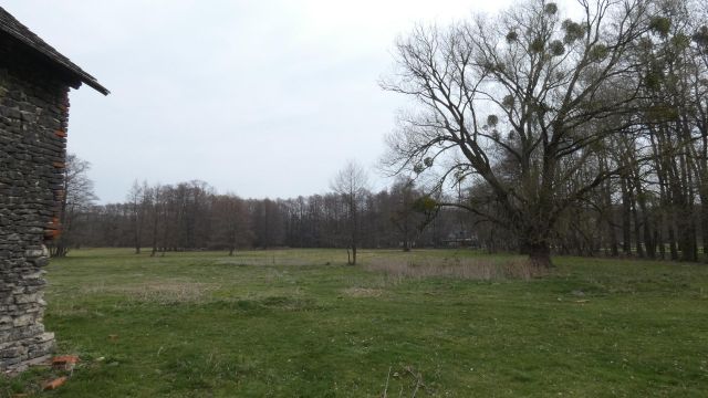 Działka rolno-budowlana Centawa, ul. Powstańców Śląskich. Zdjęcie 1