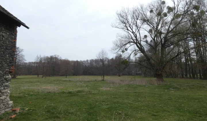 Działka rolno-budowlana Centawa, ul. Powstańców Śląskich