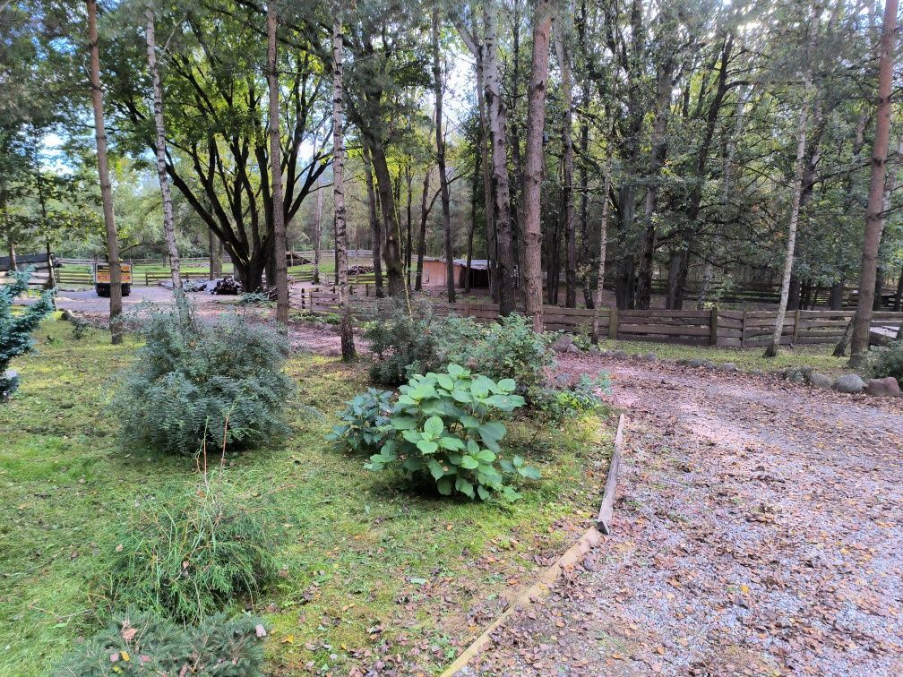 Działka rolno-budowlana Strzałkowo. Zdjęcie 6