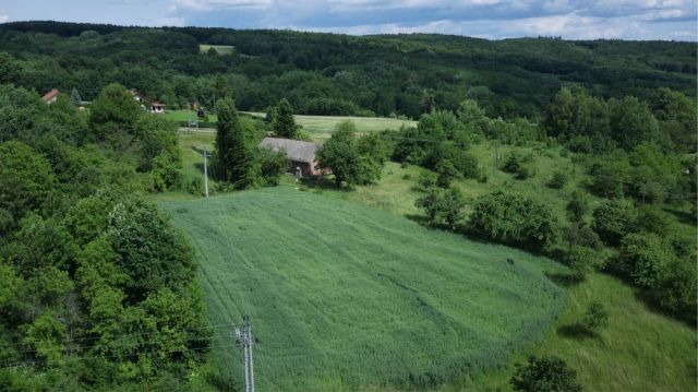 Działka rolno-budowlana Husów. Zdjęcie 1