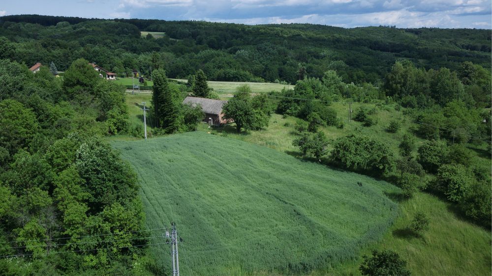 Działka rolno-budowlana Husów