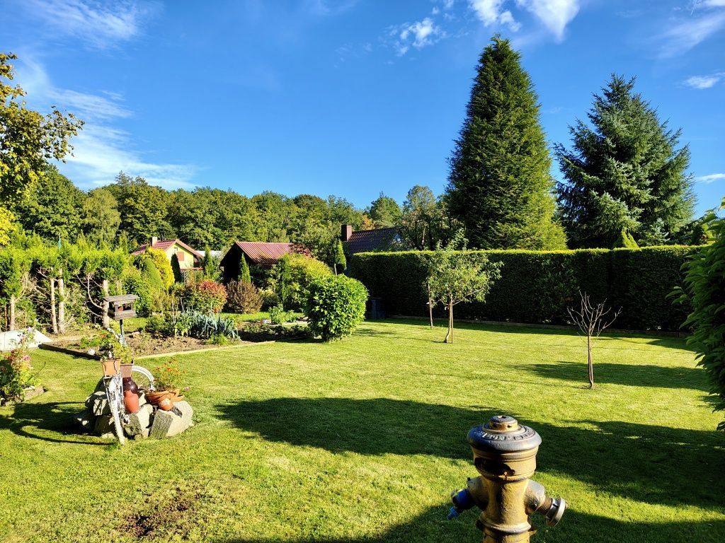 Działka rod Bogatynia. Zdjęcie 8