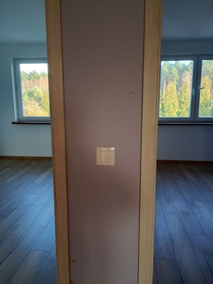 bliźniak Lisi Ogon. Zdjęcie 3