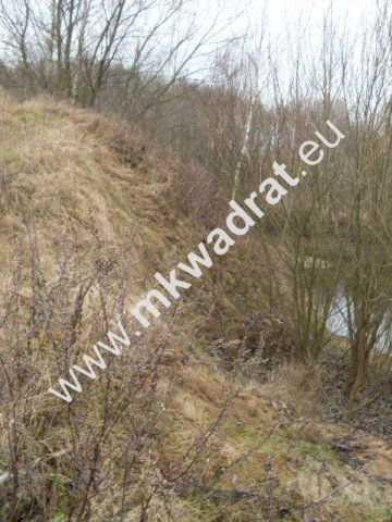 Działka rolna Korabiewice. Zdjęcie 6