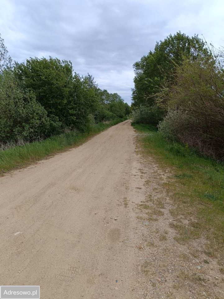 Działka rolno-budowlana Lubkowo. Zdjęcie 9