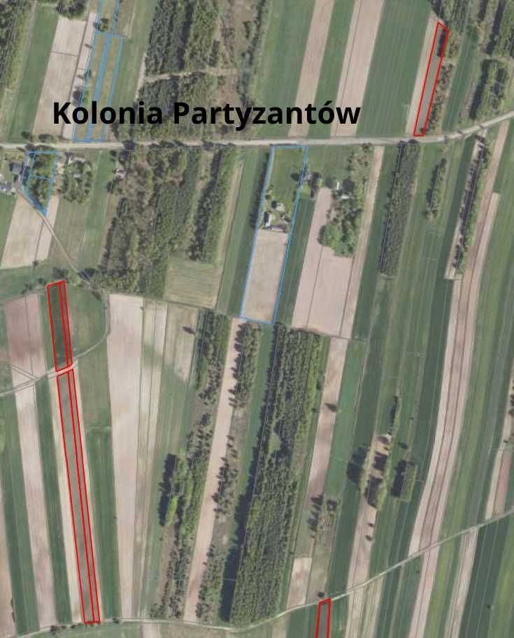 Działka rolna Niemirówek-Kolonia. Zdjęcie 4
