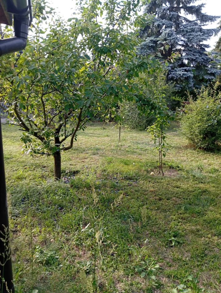 Działka rod Widziszewo. Zdjęcie 6