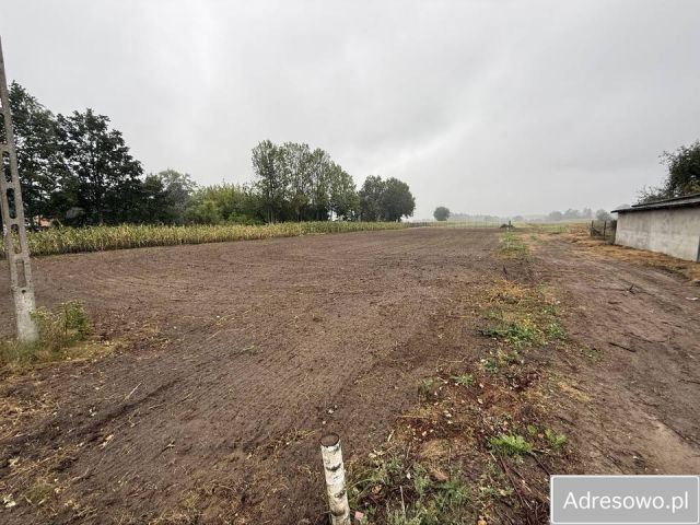 Działka budowlana Wrzeszczewice. Zdjęcie 1