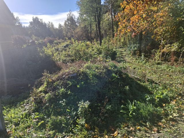 Działka rolno-budowlana Prostyń. Zdjęcie 1
