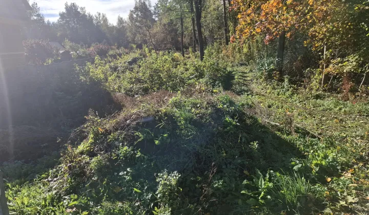 Działka rolno-budowlana Prostyń