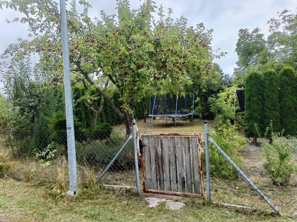 Działka rod Poznań Głuszyna, ul. Głuszyna. Zdjęcie 5