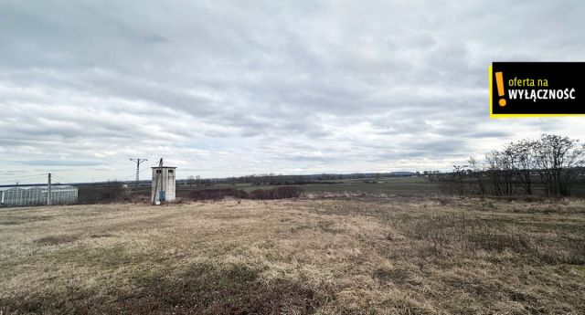 Działka inwestycyjna Racibórz, ul. Podmiejska. Zdjęcie 6