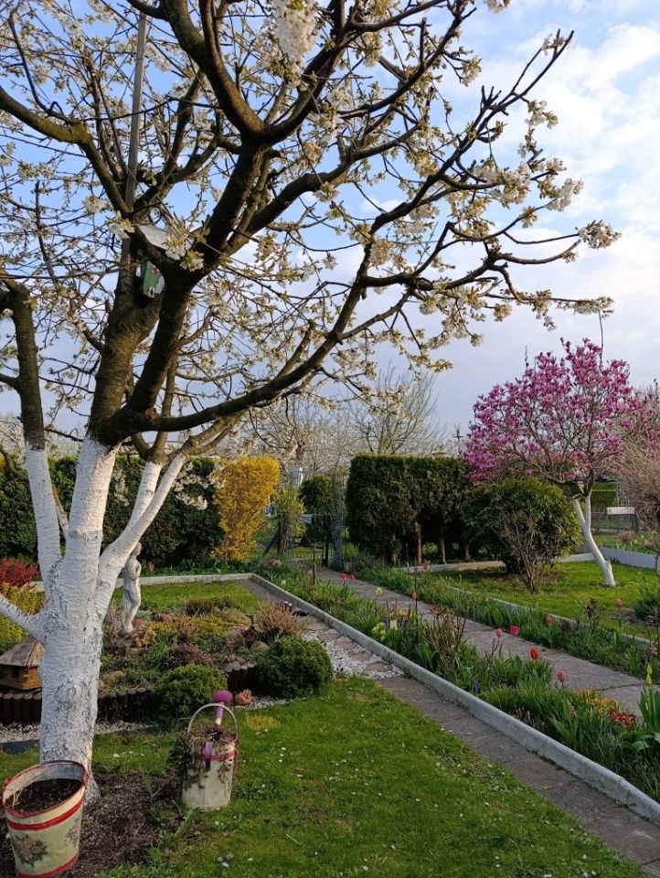 Działka rod Żory. Zdjęcie 4