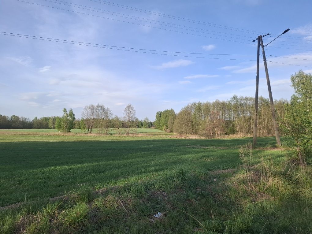 Działka rolno-budowlana Kołacin. Zdjęcie 1