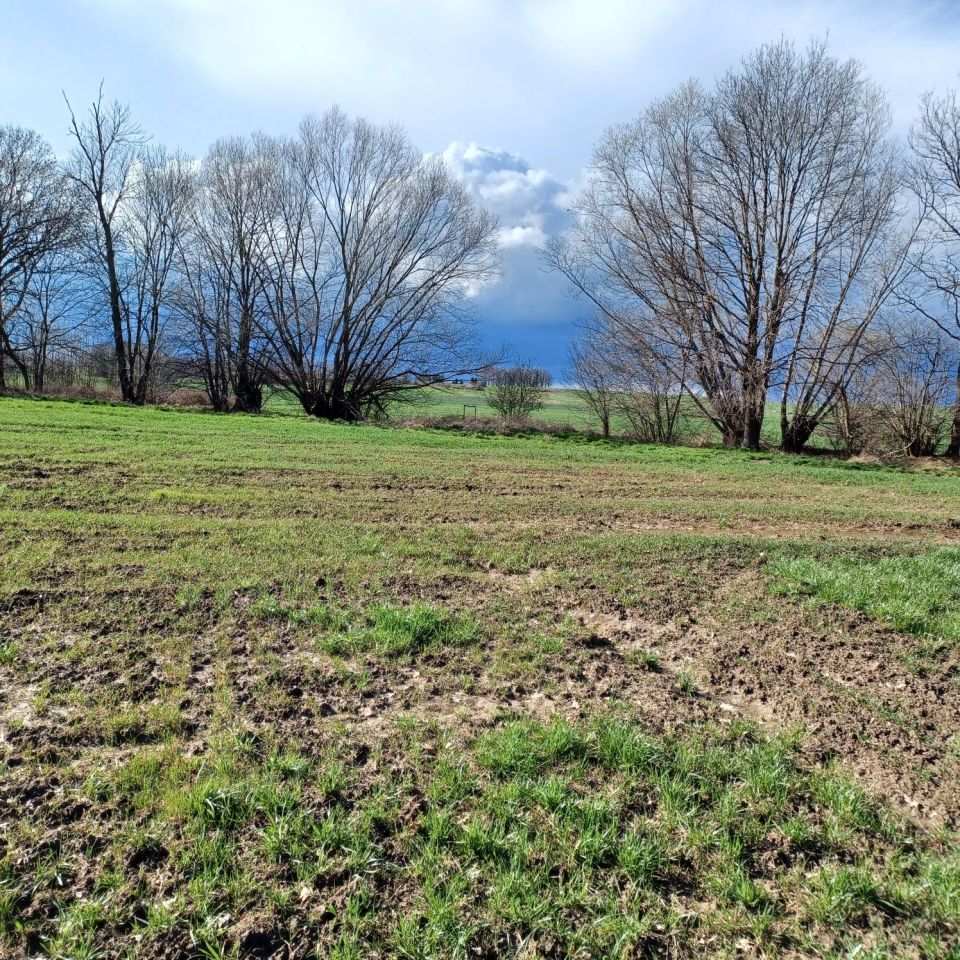 Działka rolna Sichów