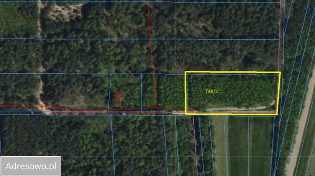 Działka leśna Zborów. Zdjęcie 9